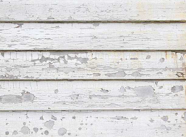 Best Residential Junk Removal  in Westport, WA